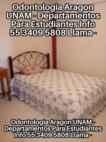 Nuevo Ingreso FES Aragon; Primer Ingreso FES Aragon; UNAM Odontologia Aragon; FES Iztacala Odontologia Aragon; Nuevo Ingreso TESE; Nuevo Ingreso UNEVE; Nuevo Ingreso ITGAM; IPN UPIICSA; IPN Zacatenco; IPN Ticoman; Nuevo Ingreso UPN 096; Nuevo Ingreso UPN